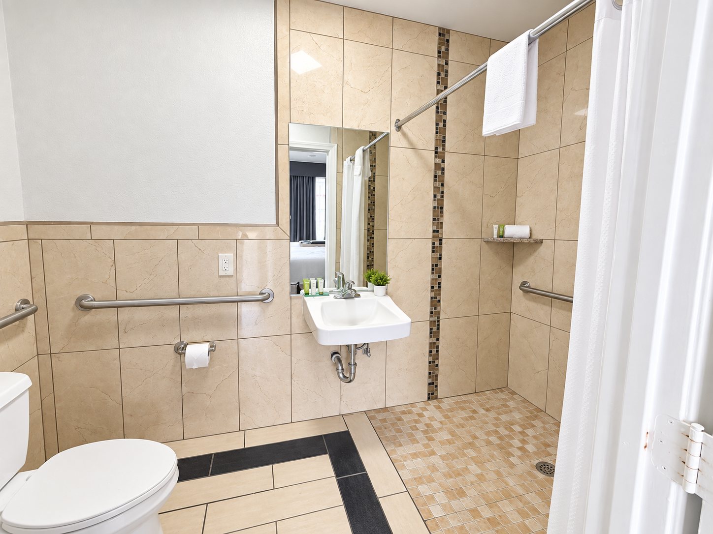 The accessible bathroom, showing grab bars beside the comfort-height toilet and the roll-in shower entry.